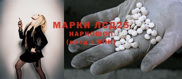 PSILOCYBIN Армянск