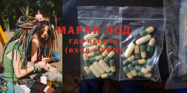PSILOCYBIN Армянск