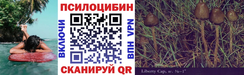 мориарти формула  Константиновск  Галлюциногенные грибы GOLDEN TEACHER  OMG как войти 
