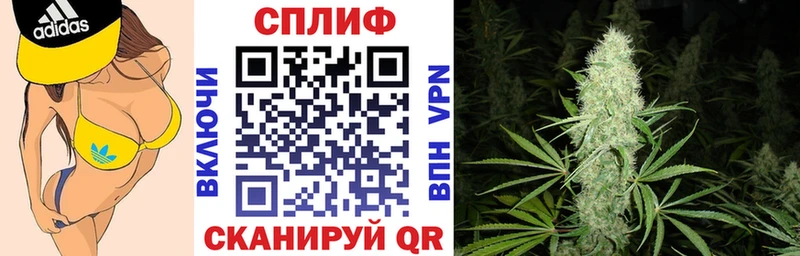 Шишки марихуана SATIVA & INDICA  Константиновск 